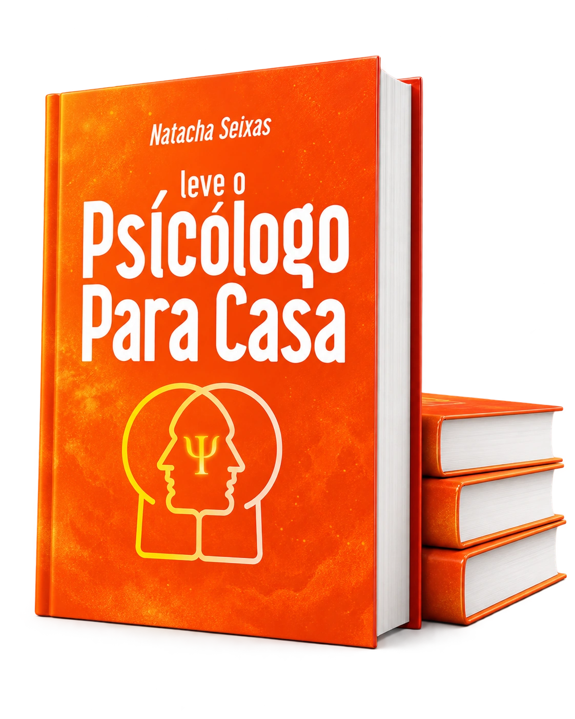 Livro Leve o Psicólogo para casa de Natacha Seixas